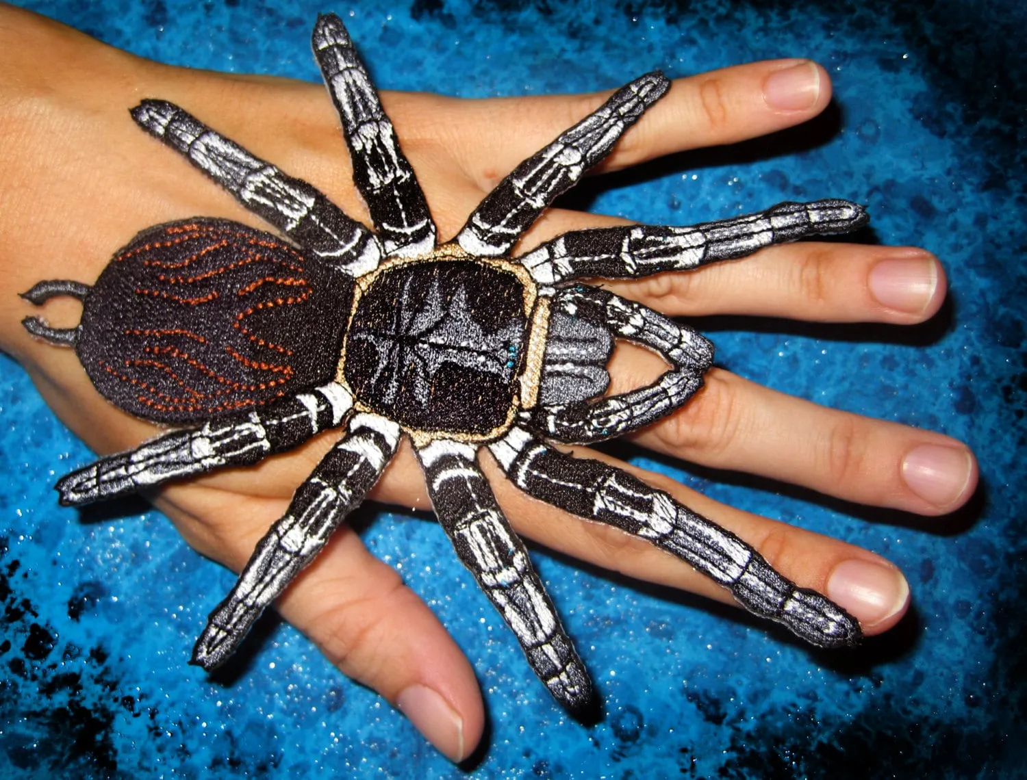 19077 tarantula molting