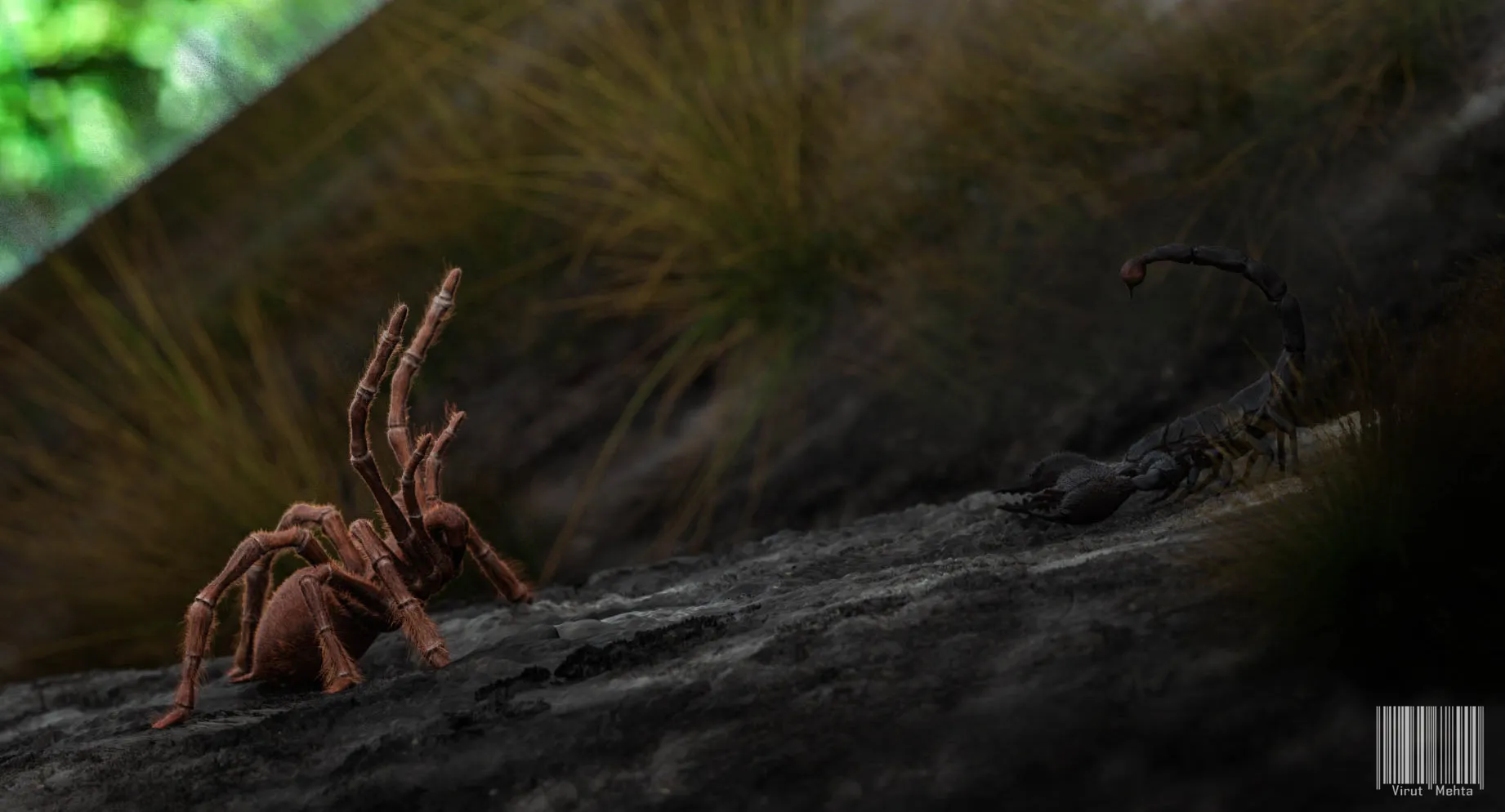 19082 tarantula overview