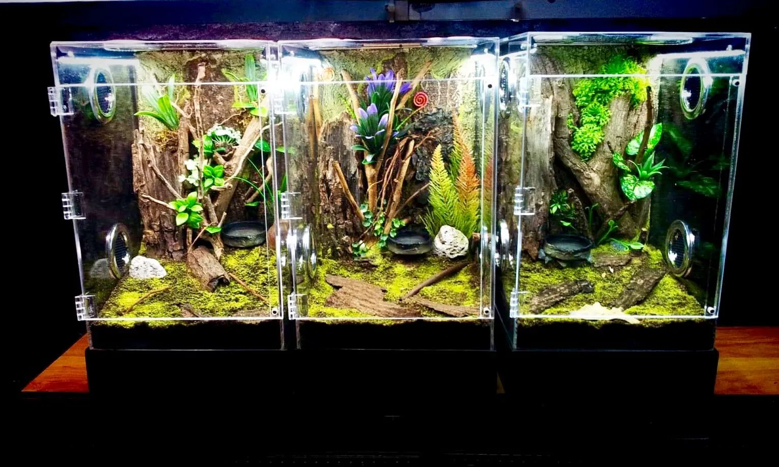 19089 pmet tarantula defense