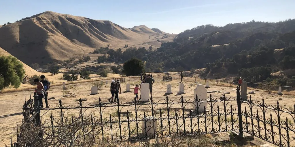 19095 tarantula spider diablo