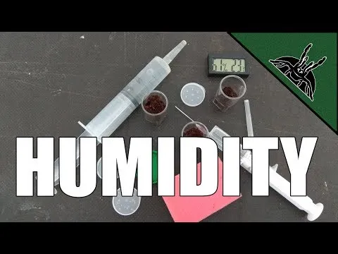 19097 tarantula sling watering