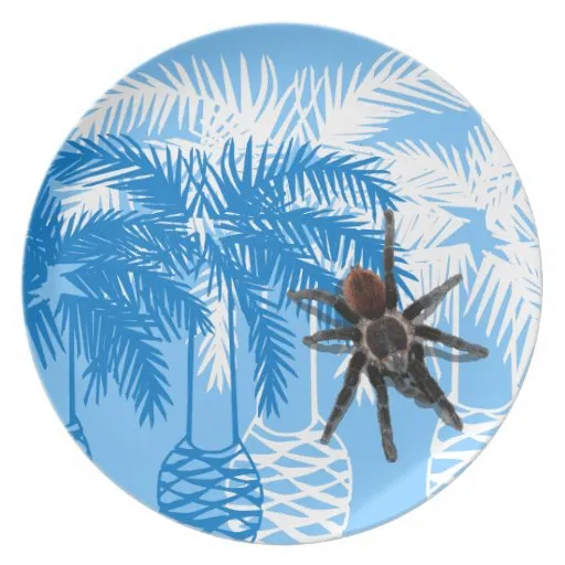 19122 dinner plate tarantula hunting