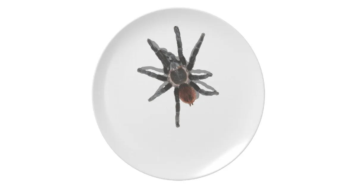19122 dinner plate tarantula size