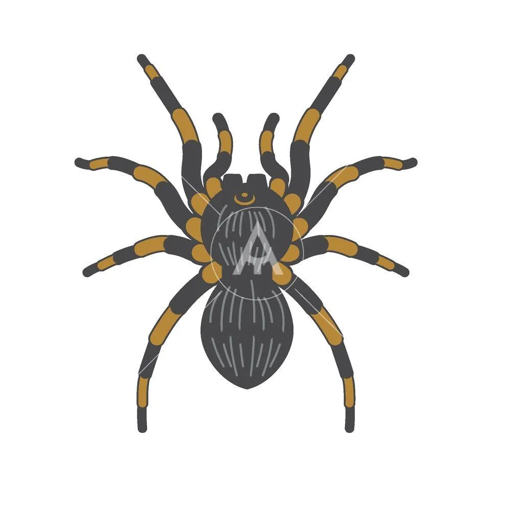 19137 tarantula logoplex design 3