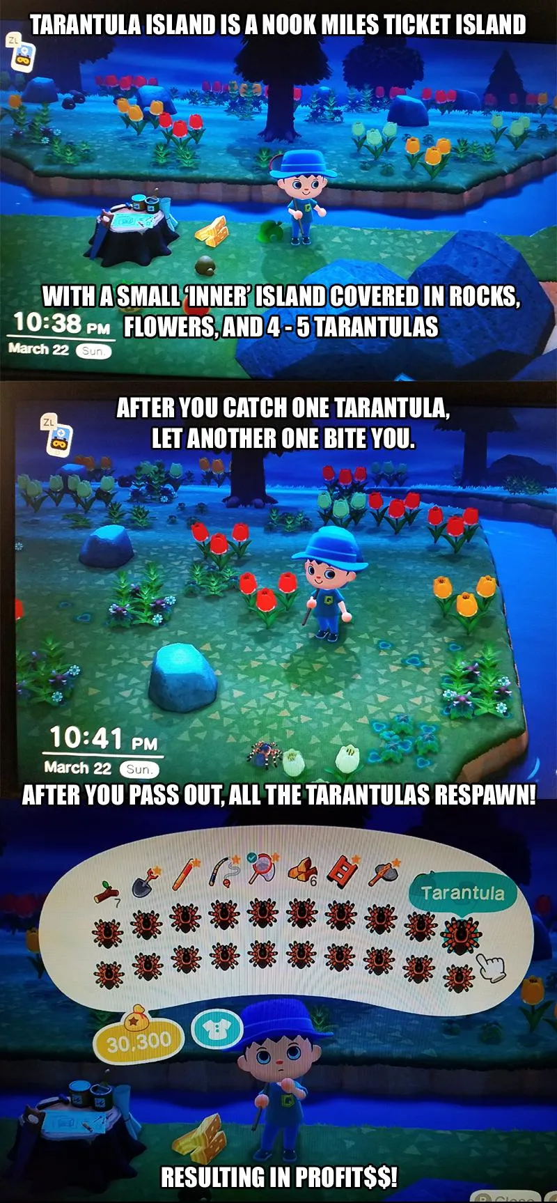 19151 animal crossing tarantula island bells