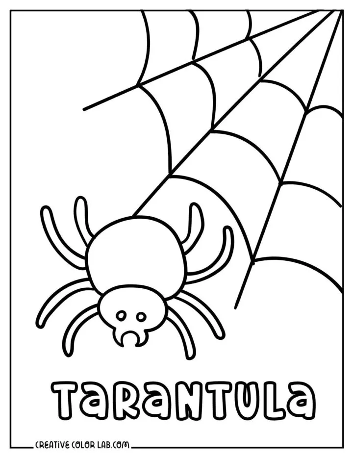 19165 tarantula substrate