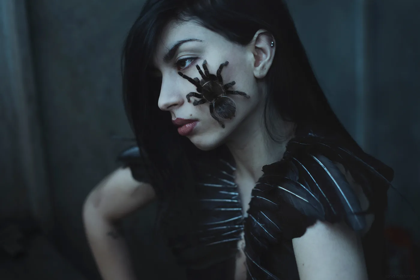 19172 linkedin experience