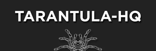 19172 tarantula linkedin profile