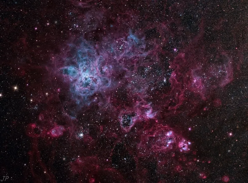 19183 tarantula habitat