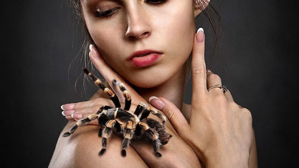 19184 snake handling