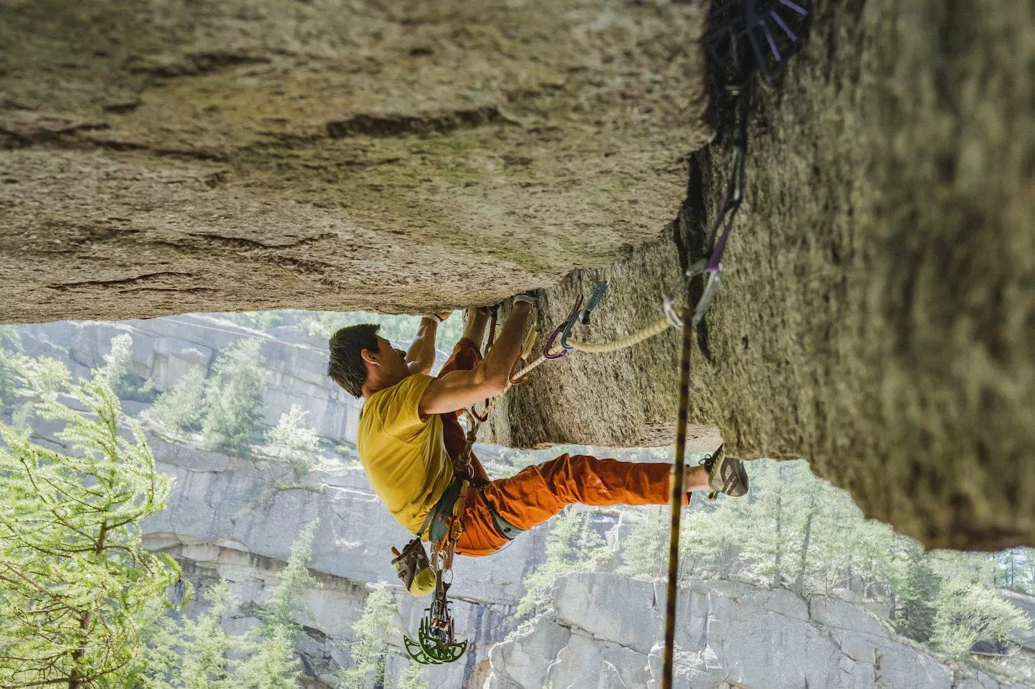 19196 tarantula construction