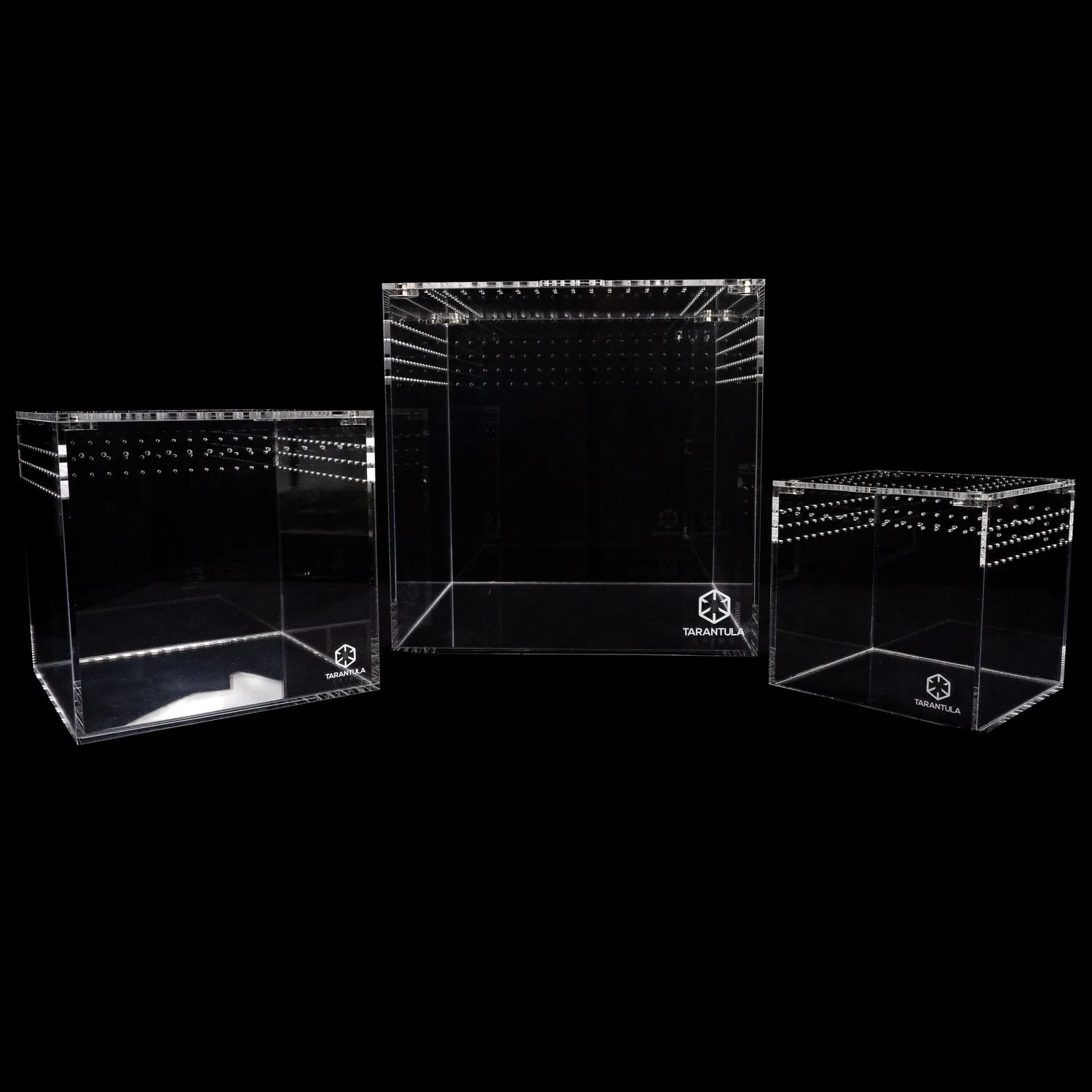 19197 terrestrial tarantula enclosure