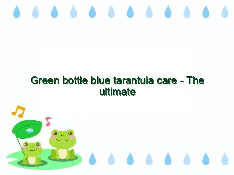 19214 gbbslingmolting