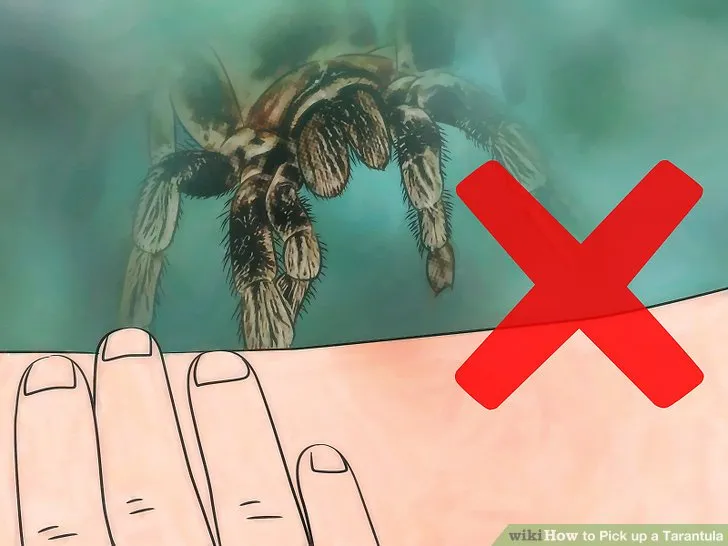 19222 handling tools