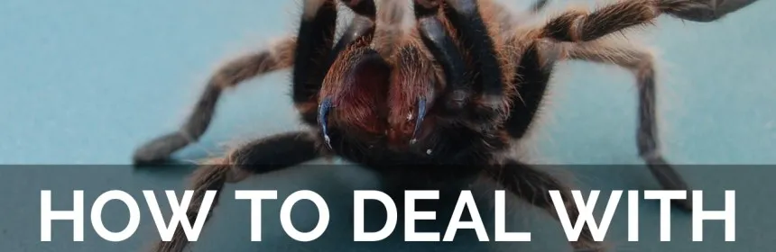 19242 nausea vomiting