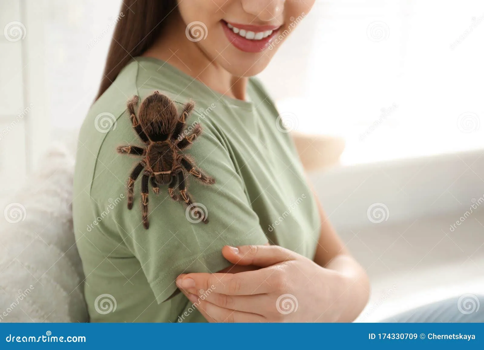 19243 striped knee tarantula health