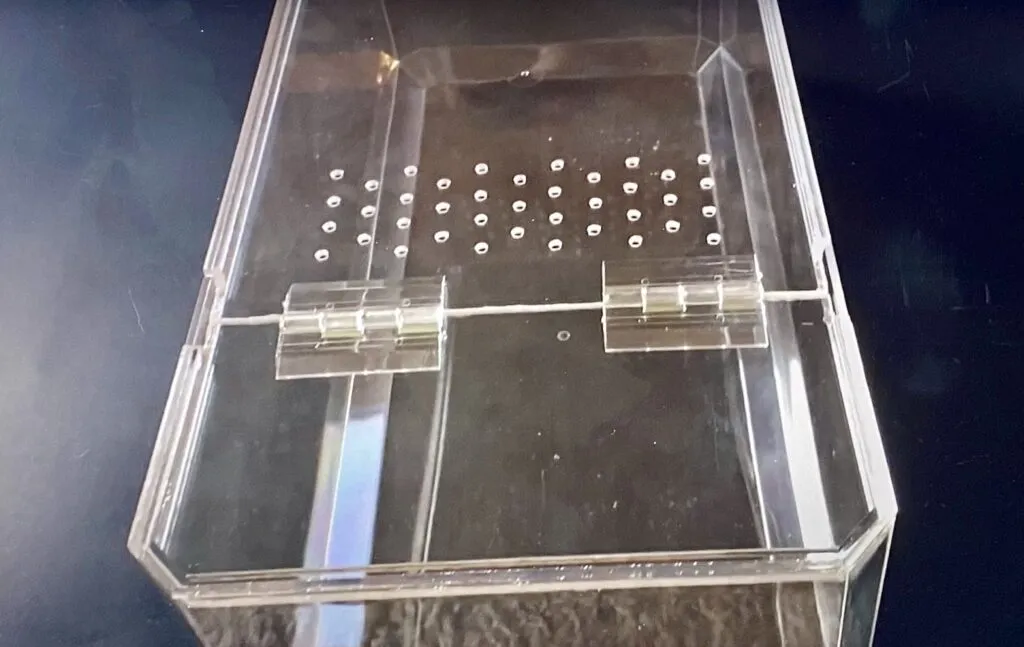 19270 misting tarantula