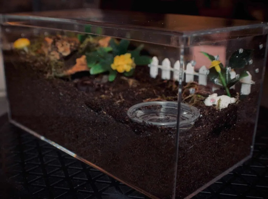 19270 ventilation tarantula