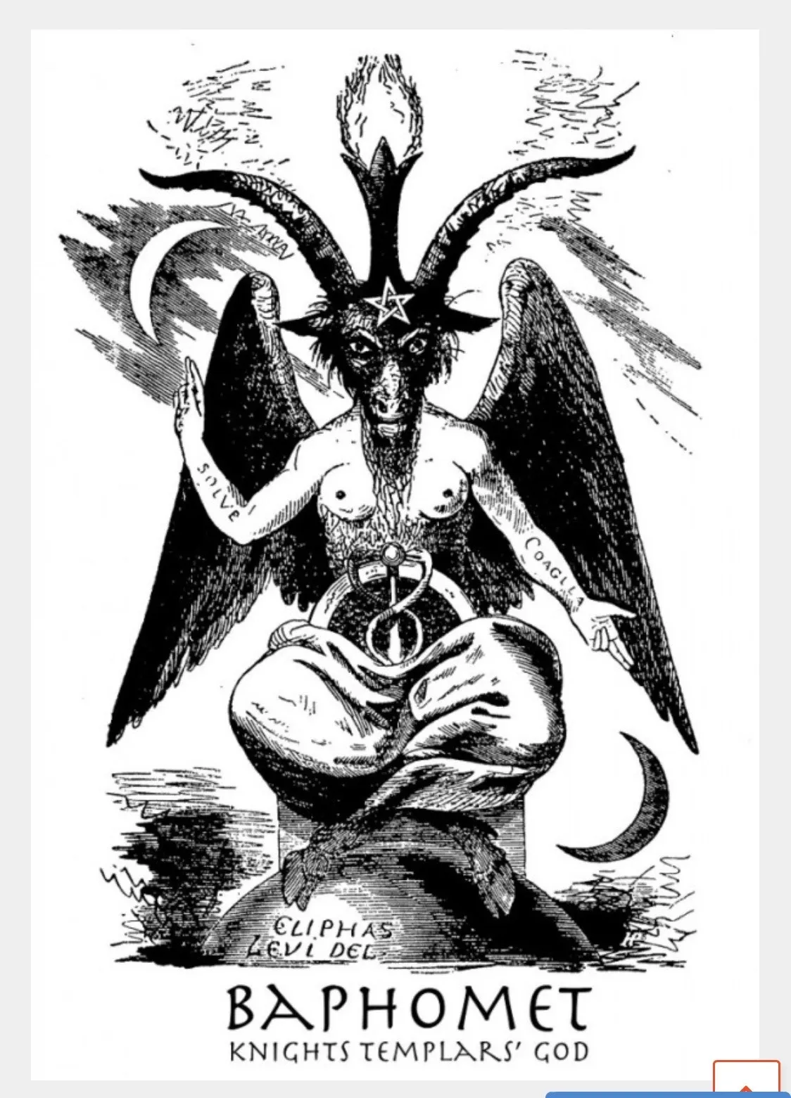 19294 tarantula water dish