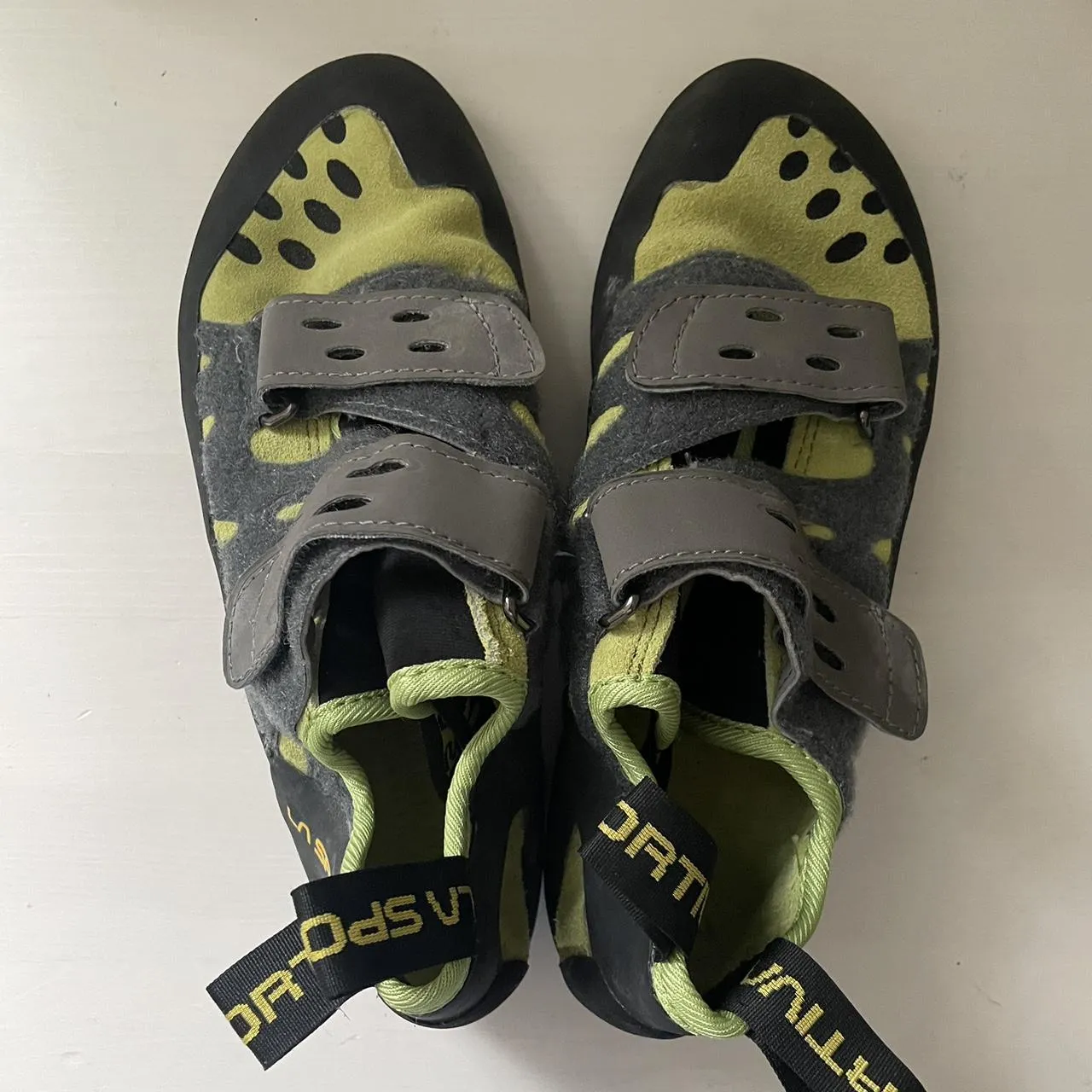 19296 tarantula fit sizing