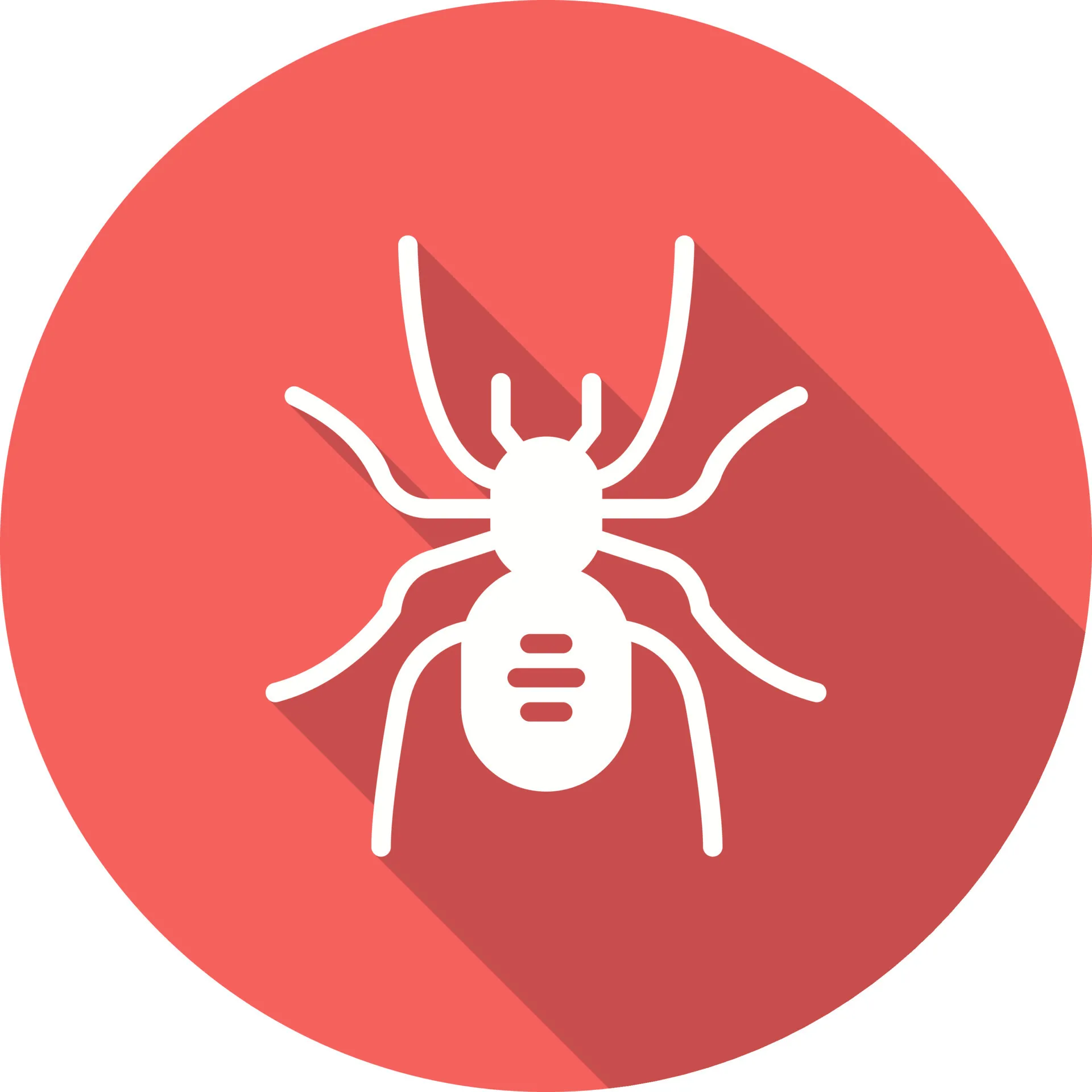 19298 tarantula color palette