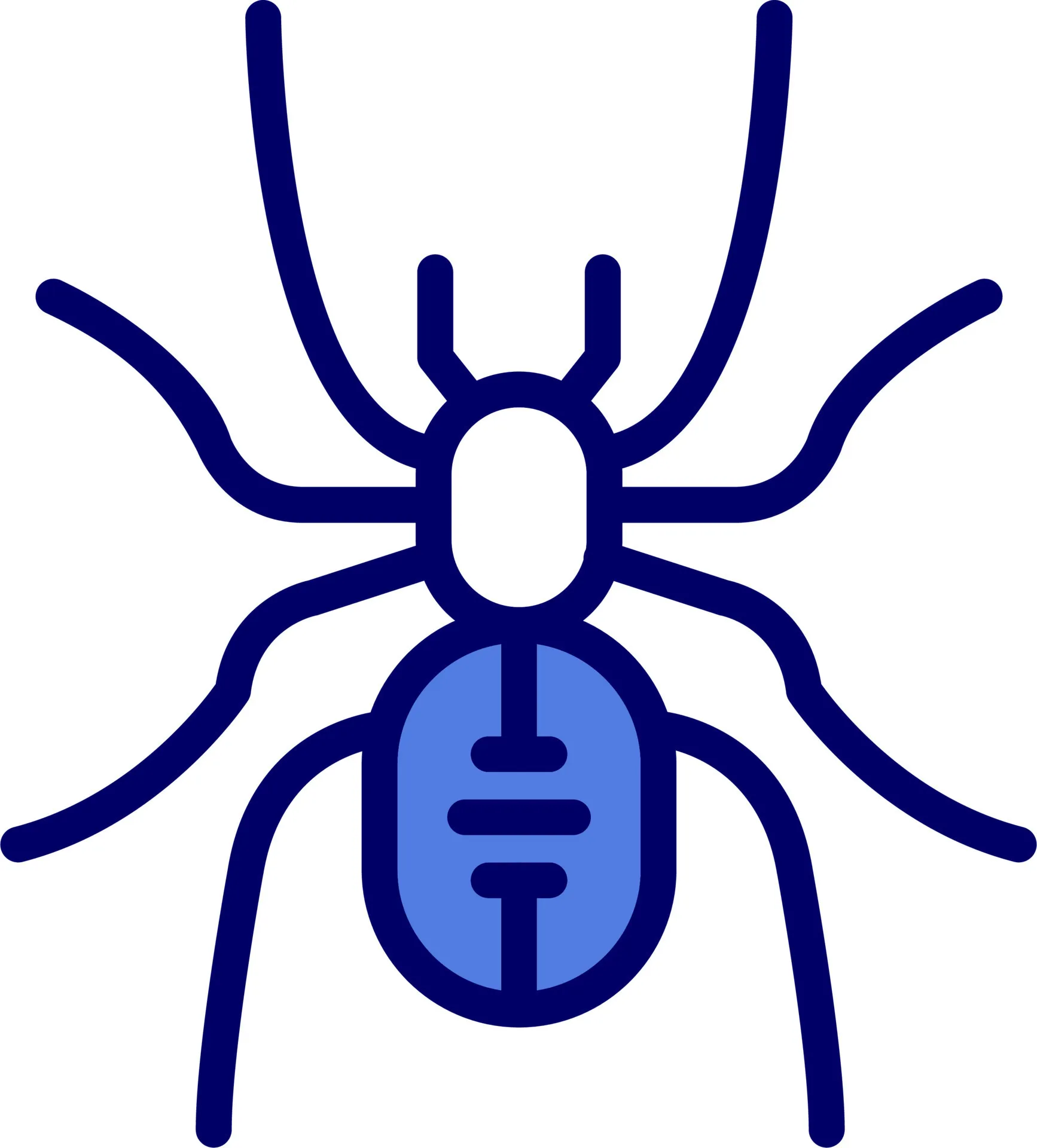 19298 tarantula silhouette design