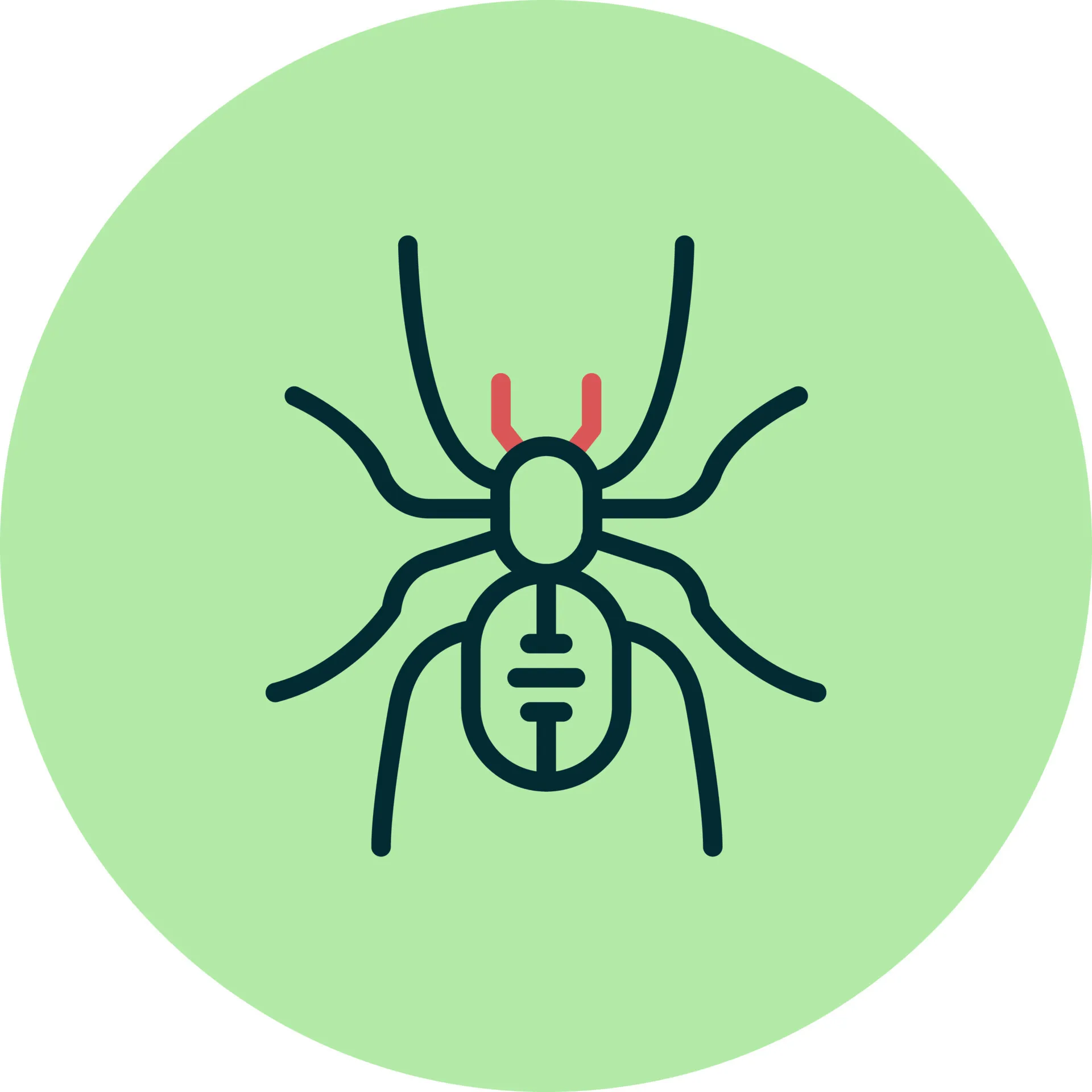 19298 tarantula symbolism