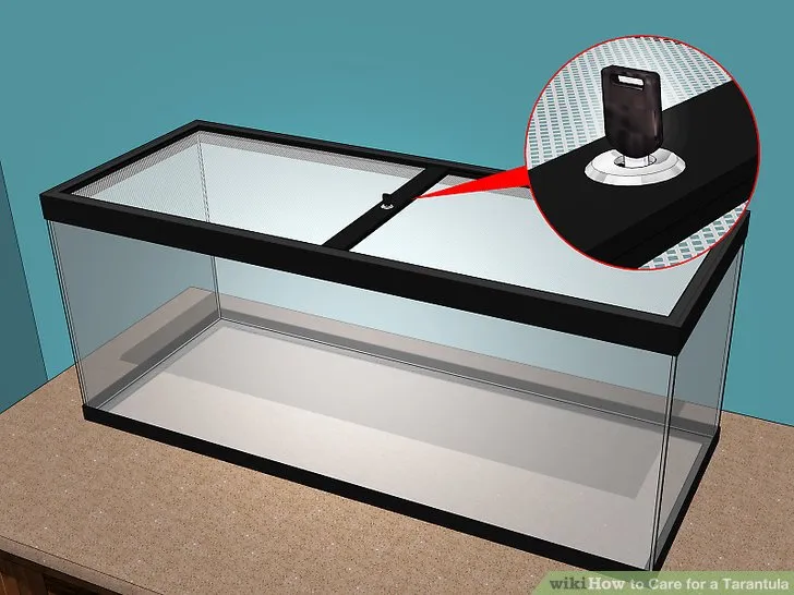 19311 tarantula sling handling