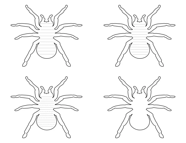 /img/19315-tarantula-decor.webp