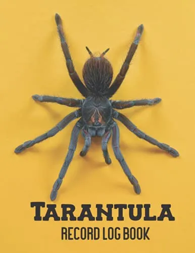 19319 chilean rose tarantula