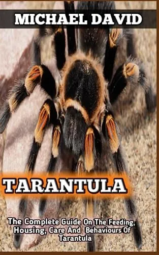 /img/19319-tarantula-enclosure.webp