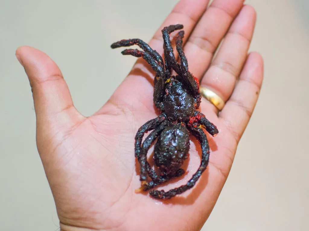 19342 fried tarantula plate