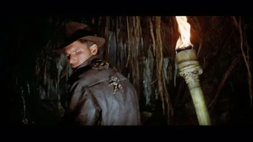 19343 tarantula bite treatment