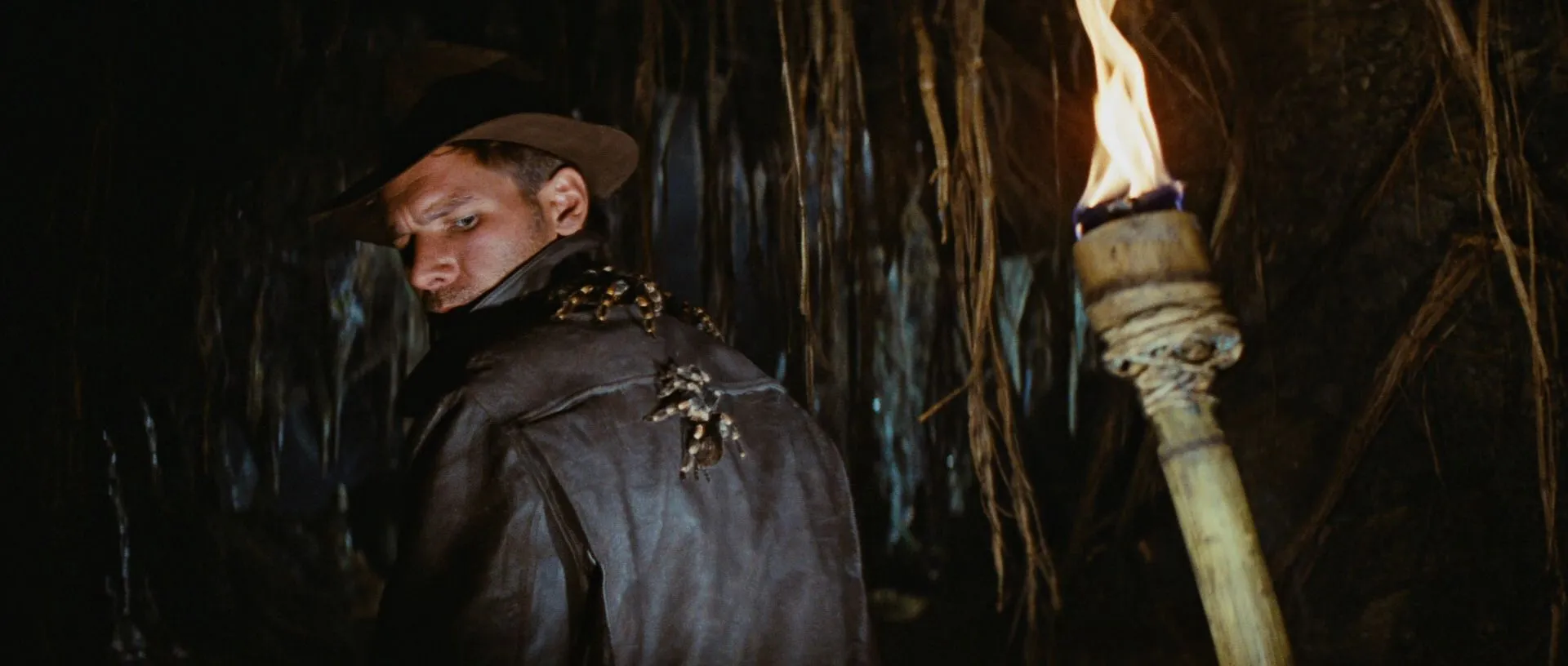 19343 tarantula habitat map