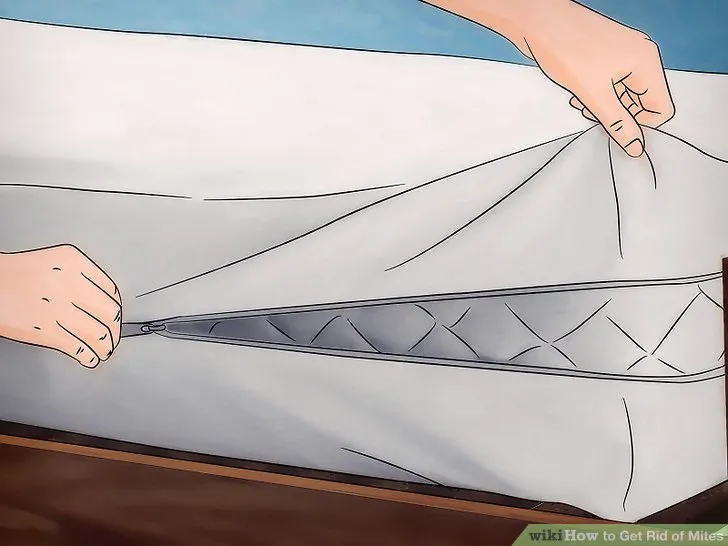 19369 healthy tarantula