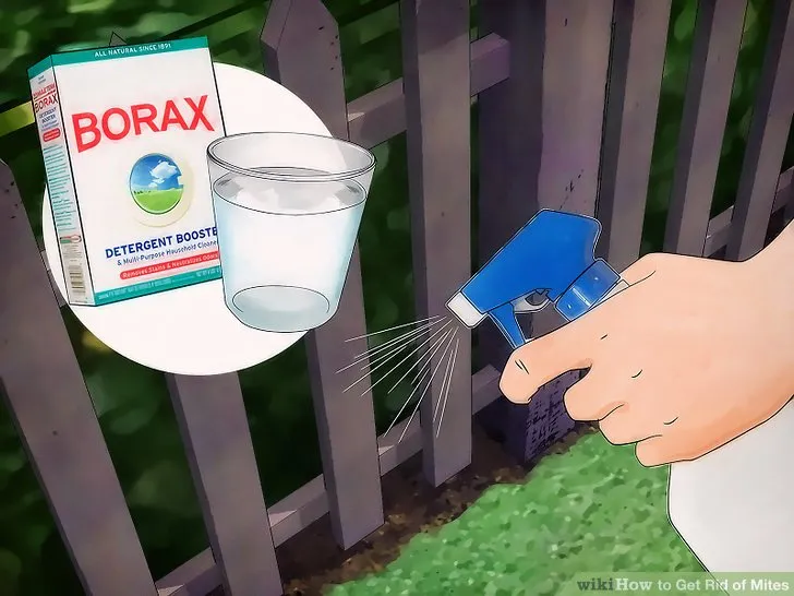 19369 tarantula mite prevention