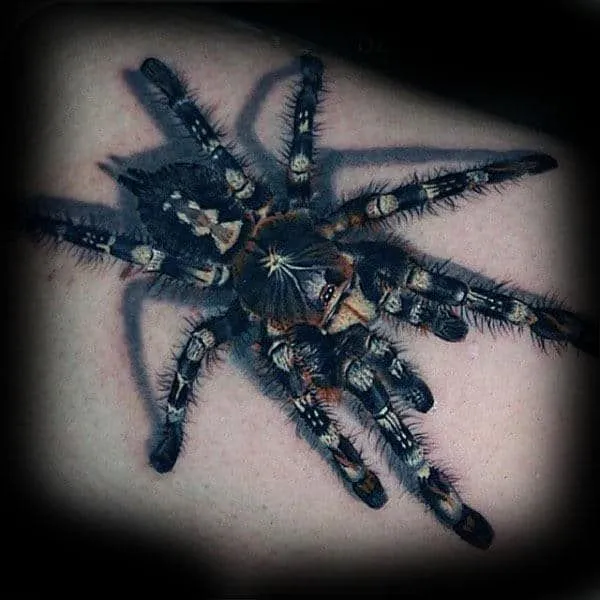 19377 tarantula tattoo design 6