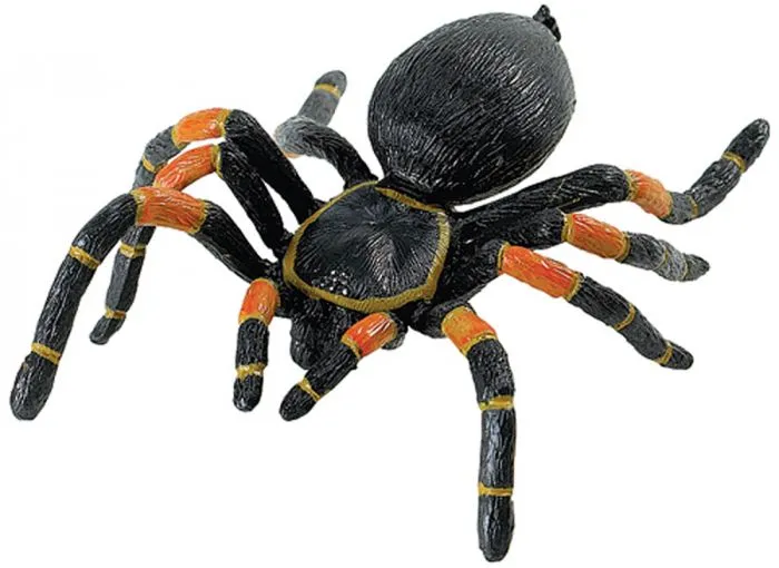 19380 orange knee tarantula behavior