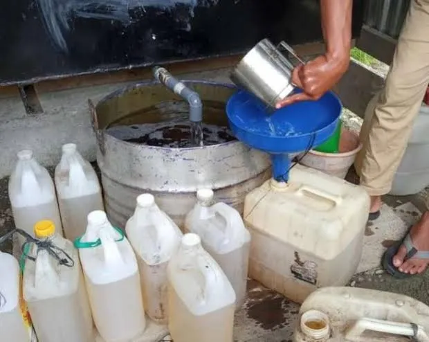 19393 minyak tarantula aplikasi